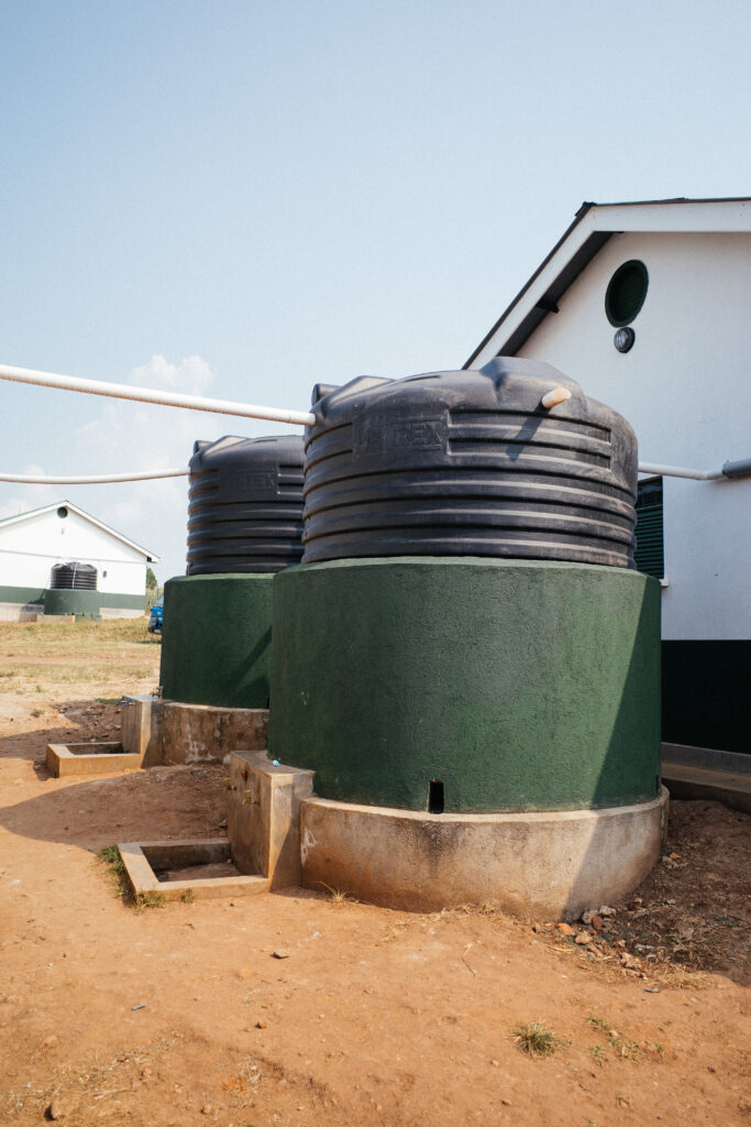 240619_ricohIII_R3004038